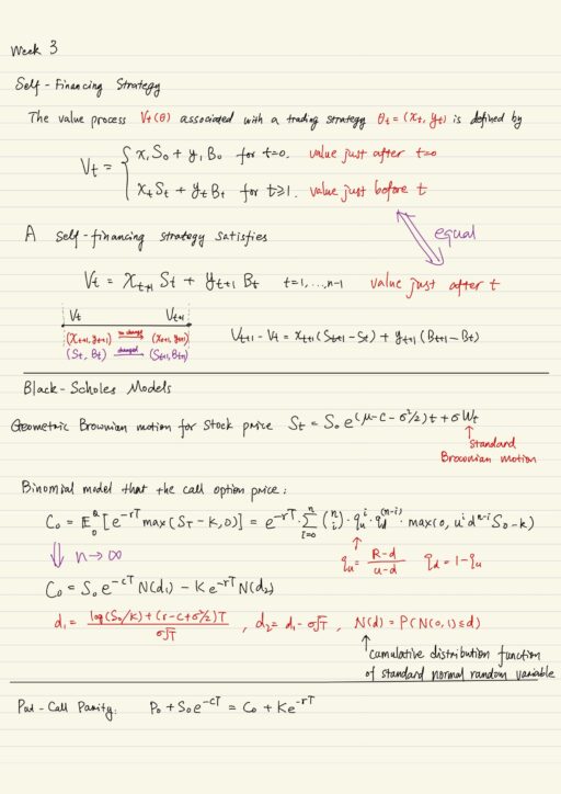 Self-financing strategy, Black-Scholes models