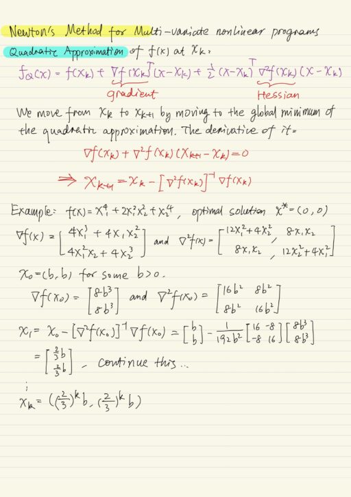 Newton's method for multi-variate nonlinear programs