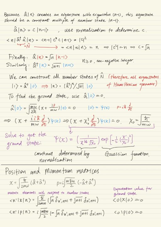 Position and momentum matrices