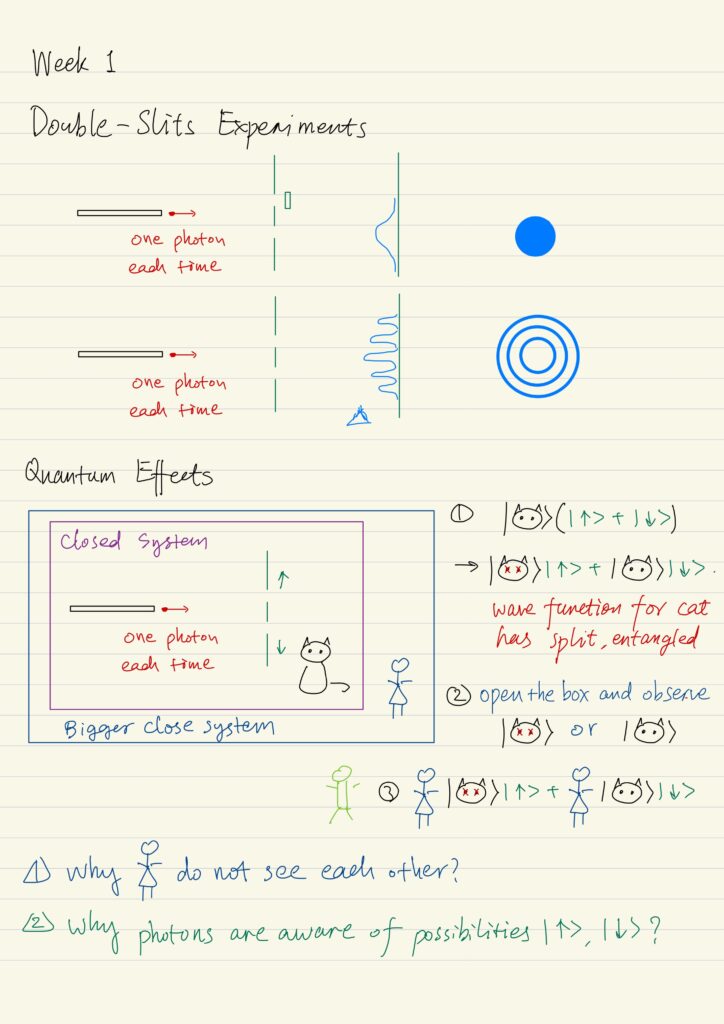 Double-slits experiment, Quantum effects